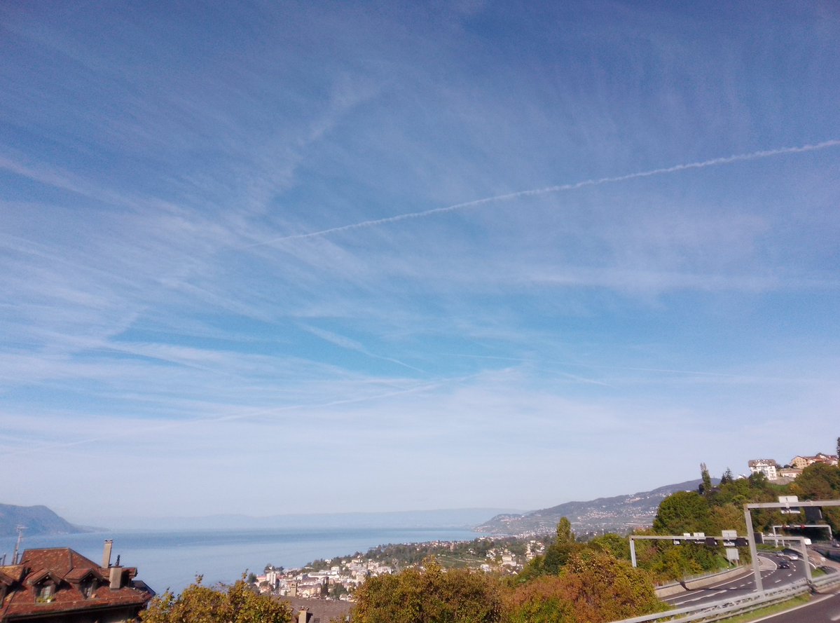 Ce matin aussi je les ai vus ! Ils se lâchent depuis plusieurs jours...
#chemtrails