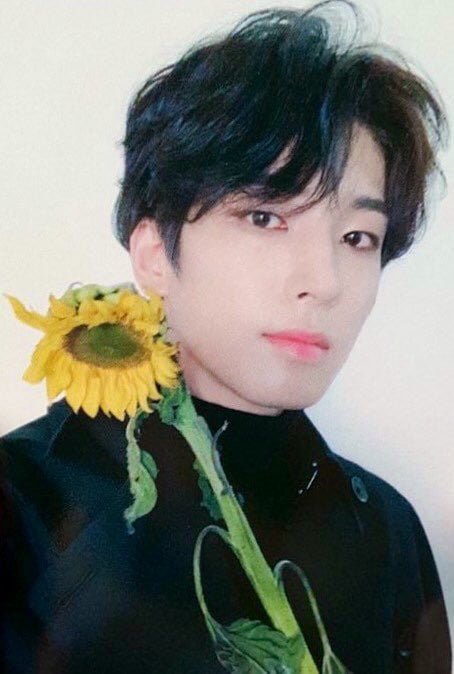 minwonbooromi's tweet photo. 일편단심🌻 https://t.co/SmRGo4tMNW
