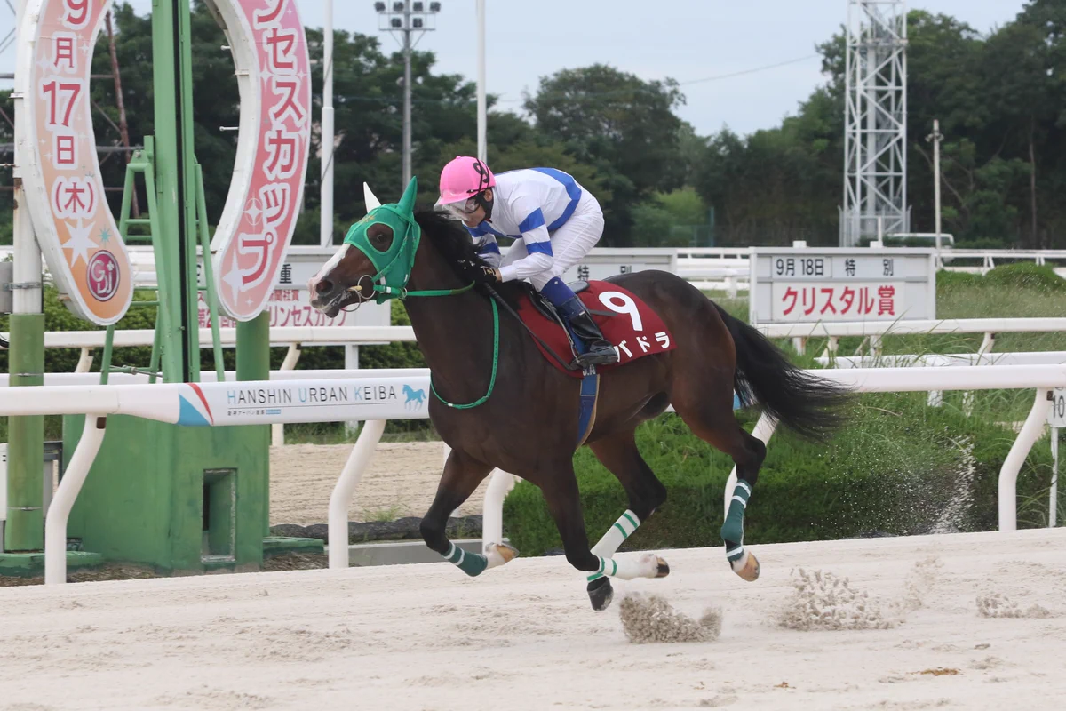 園田 競馬 場