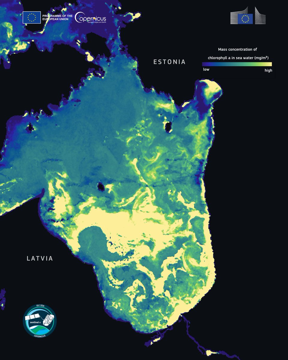 CopernicusEU's tweet photo. 🌊 What looks like an abstract painting is microscopic life in the Baltic Sea!

🛰️ #CopernicusEU Sentinel-3 reveals algal blooms in the Gulf of Riga 🇱🇻🇪🇪 using ocean-colour data. Sentinel-3C now joins the mission.

🔗 https://t.co/SYoj9o3jDX

#EUSpace #ImageOfTheDay https://t.co/7uTzpZ6CBe