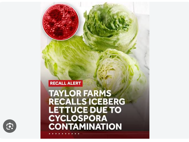 fed1834550's tweet photo. @PaWright10 @MyUnveiledTruth Heard Lettuce has become quite trendy? https://t.co/kya8ixyowj