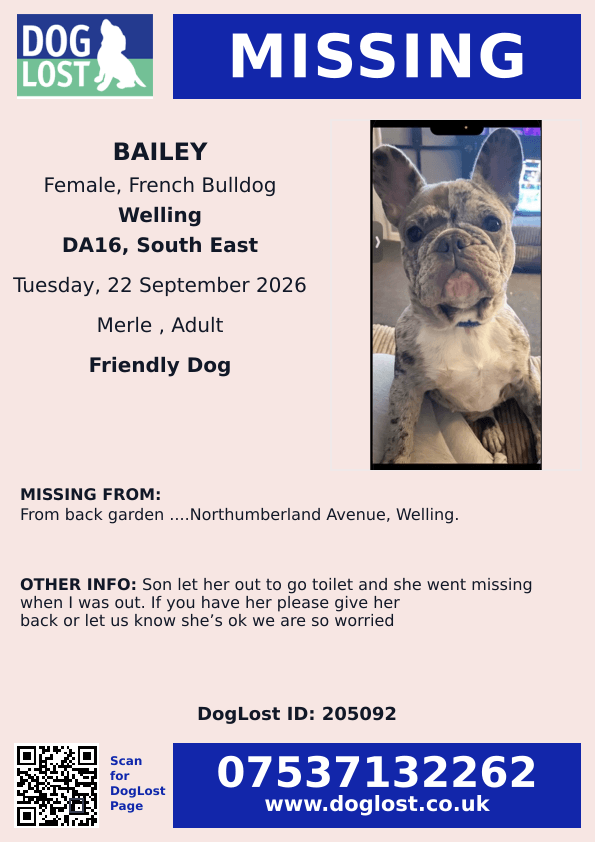 millypod1's tweet photo. 🆘22 SEPT 2026 #Lost Bailey #ScanMe #STOLEN??
French Bulldog Female White chest cherry eyes.
From back garden ....Northumberland Avenue #Welling #GreaterLondon #DA16
https://t.co/4jMcYYiSw7 https://t.co/rjB3PVJAQZ