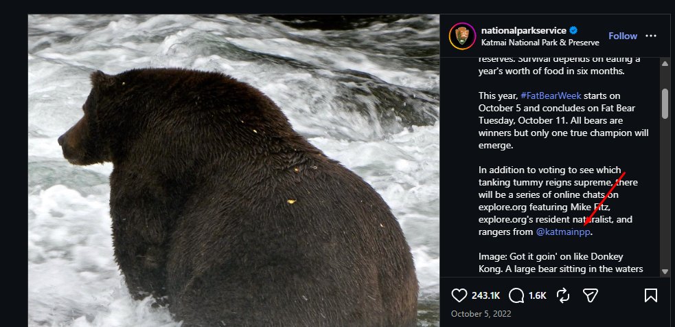 solanasavvy1's tweet photo. Honky Chonk Beardonkadonk is part of Katmai Park and they have donation

ig https://t.co/E412ZWpHHa

instagram shared post https://t.co/OWkn7jd6XN https://t.co/9EUv5KkapT