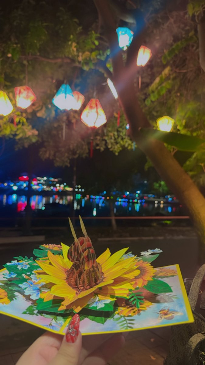lamiafehraoui's tweet photo. A little taste of Hoi An nights 🏮🌙
#hoian #vietnam https://t.co/Celr4StWJX