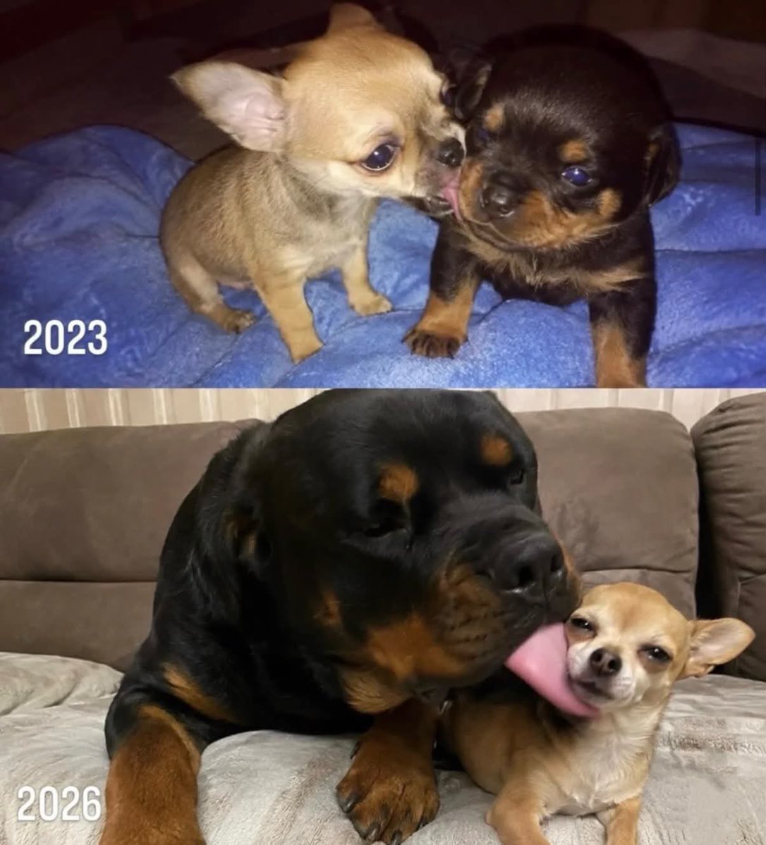 itimaliasof's tweet photo. A foto mais fofa do mês 🥺 https://t.co/2HvzZi8XWm