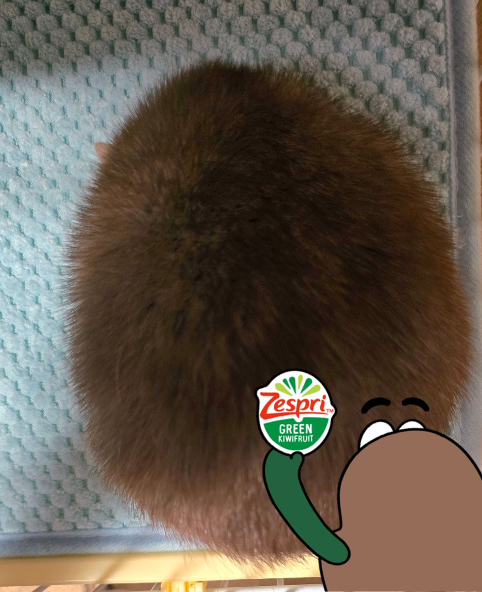 nenene_34's tweet photo. 🥝 https://t.co/W3rzShEEpo