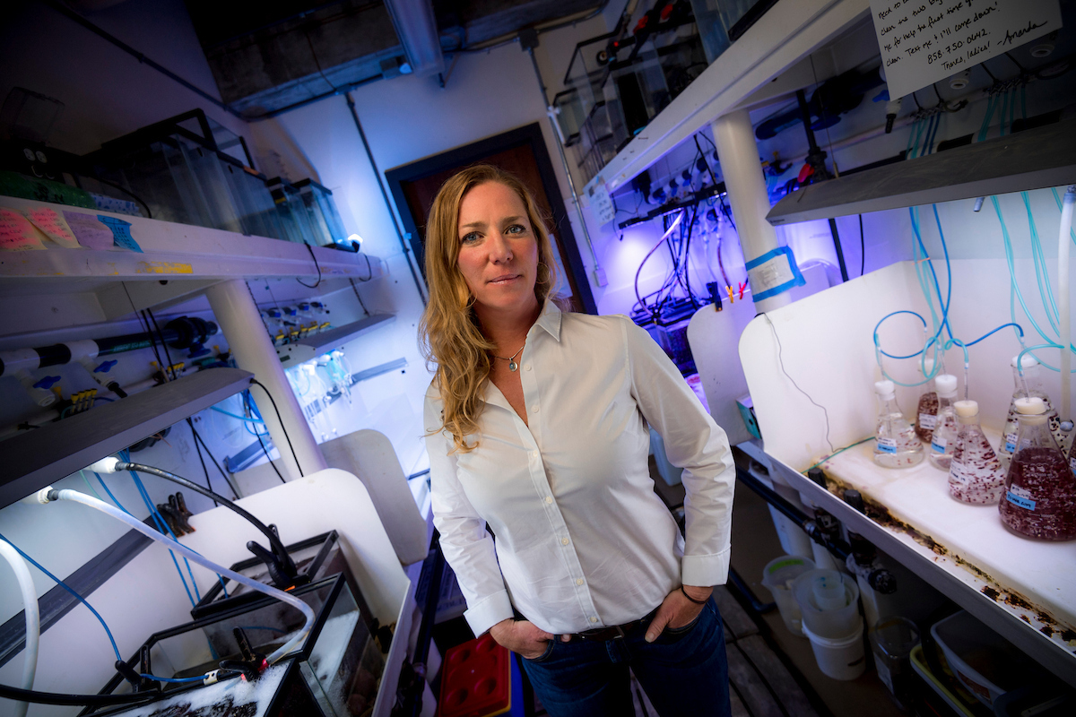 Scripps_Ocean's tweet photo. 🪸 🏆 Congratulations to Scripps marine ecologist Jennifer Smith, who earned a @UofCalifornia Regents Innovation Award! She was recognized for her work developing cutting-edge techniques to study and restore marine ecosystems. Learn more: https://t.co/sJN3vfP4bD https://t.co/So5qby0HdU