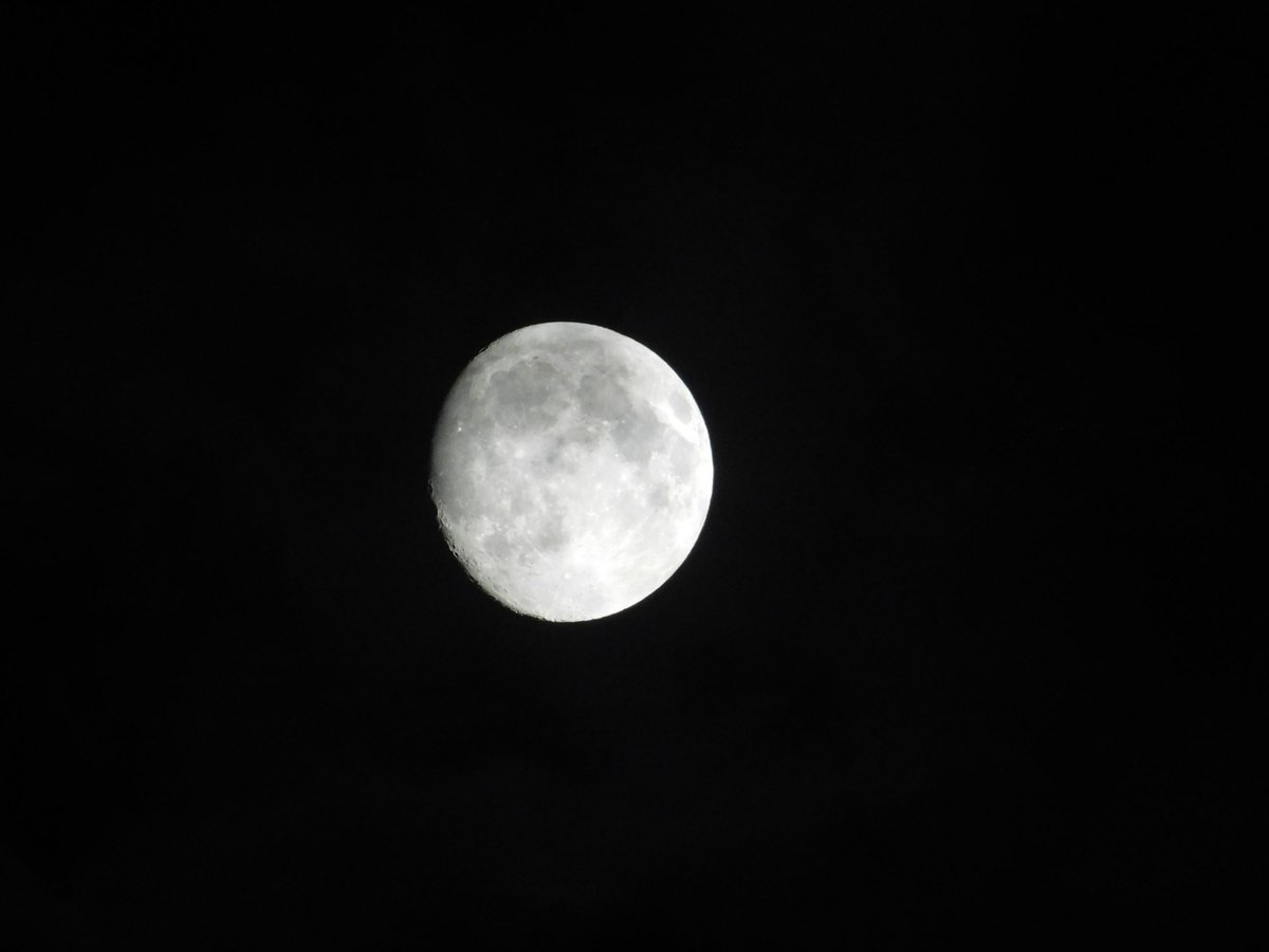 CCCh_marketing's tweet photo. 買ってから10年ほど経つNikon COOLPIX B500というカメラで月を撮影しました。写真を拡大するとクレーターまでハッキリ写ってるのが分かります。これはホントに運動会とかで強いカメラ。そしてまだAmazonで売ってるから驚き🤣  ̖́-
https://t.co/3OOGG8VeuX
⬆これAmazonのページ https://t.co/RHsTdR1HbD