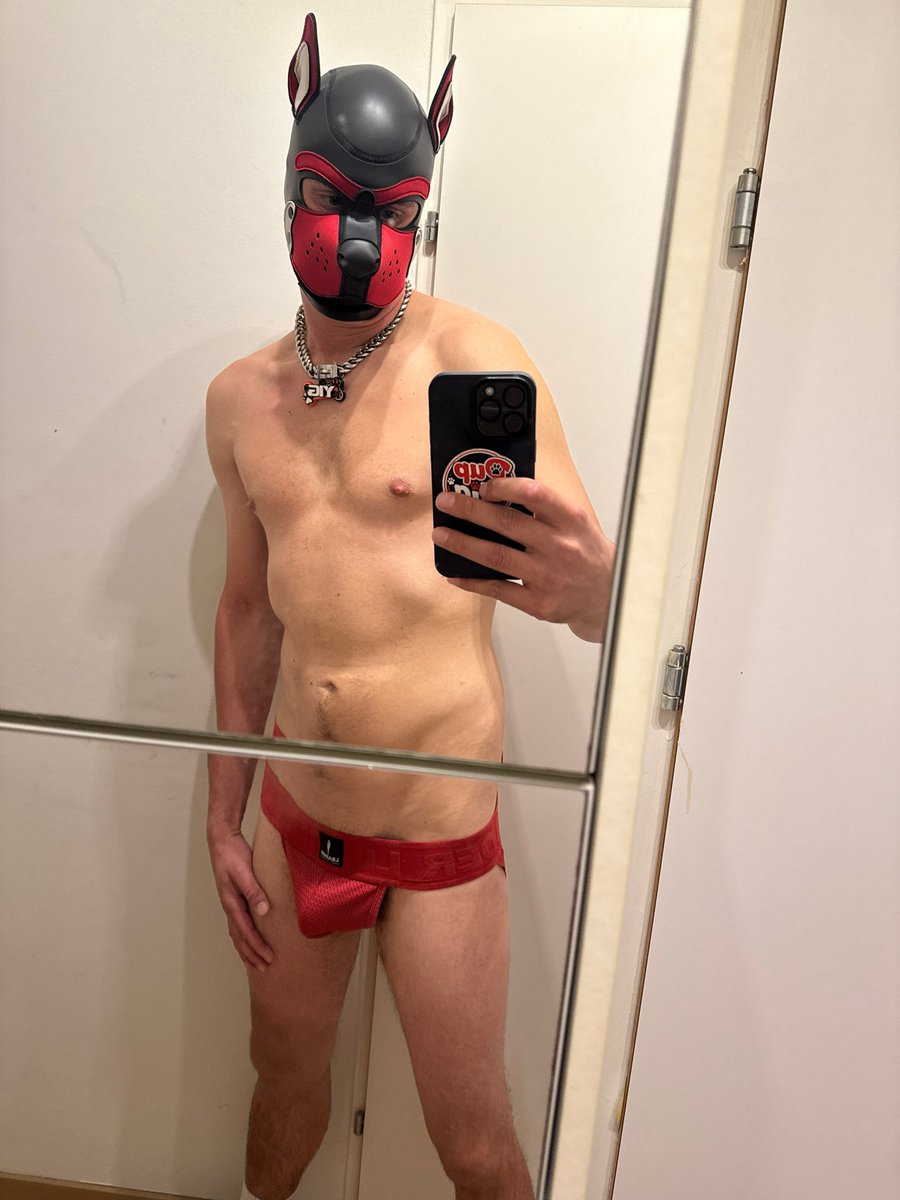 PuppyYig's tweet photo. https://t.co/gIxcAJF7Rc