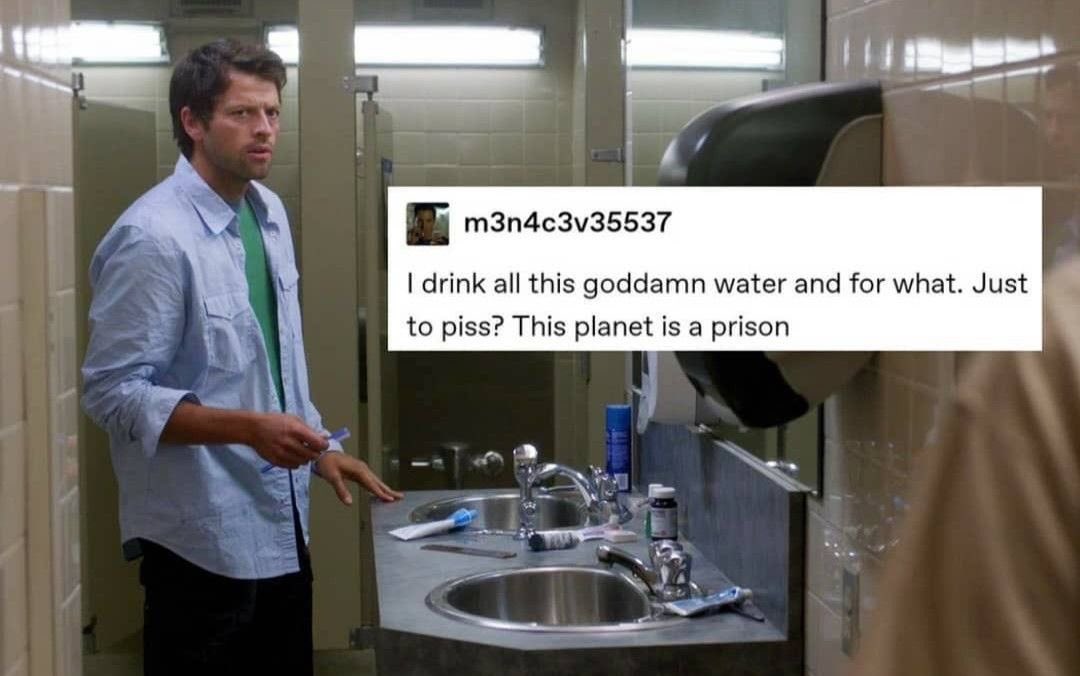 x_v1rus_x's tweet photo. 🧿 virus // moothunt day 9 !!
𝄞𝄢﹐he ノitノpup.    ͙͘͡🪼 17
.  | spn fan + autistic + trans puppyboy
.  ➜ wincest DNI + i block freely 
🔮 #spntwt #puppyboy #puppytwt #kemonomimitwt #transtwt #promotwt #moothunt 
                   ♡ + ⟳ to be moots https://t.co/l3eBxOF3of