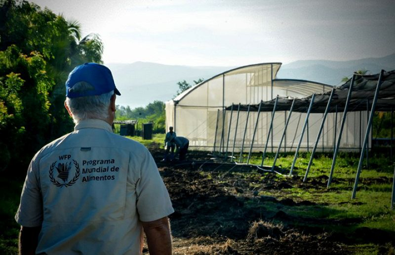 AlcidesLago's tweet photo. El programa Nutrivida, auspiciado por el  PMA y  (Unicef), desarrolla acciones con el objetivo de  mejorar las cadenas de suministro alimentario y prevenir el riesgo de  anemia en niños de hasta 12 años, embarazadas y mujeres que lactan.
#HonorHolguinero 
#HolguínSí https://t.co/jJiQu7b5VC