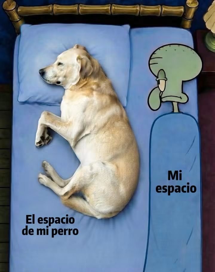 RaquelBent88917's tweet photo. https://t.co/bSEByL3WDN