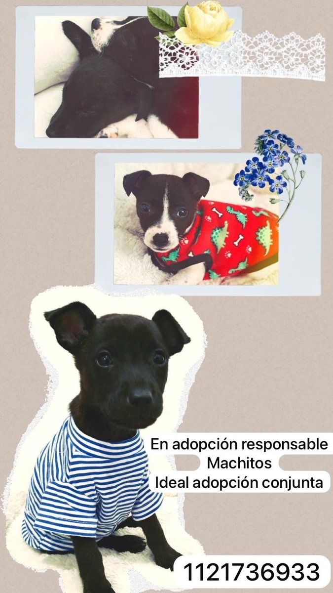 patripeyrou's tweet photo. Difundimos https://t.co/dUasDEai4A