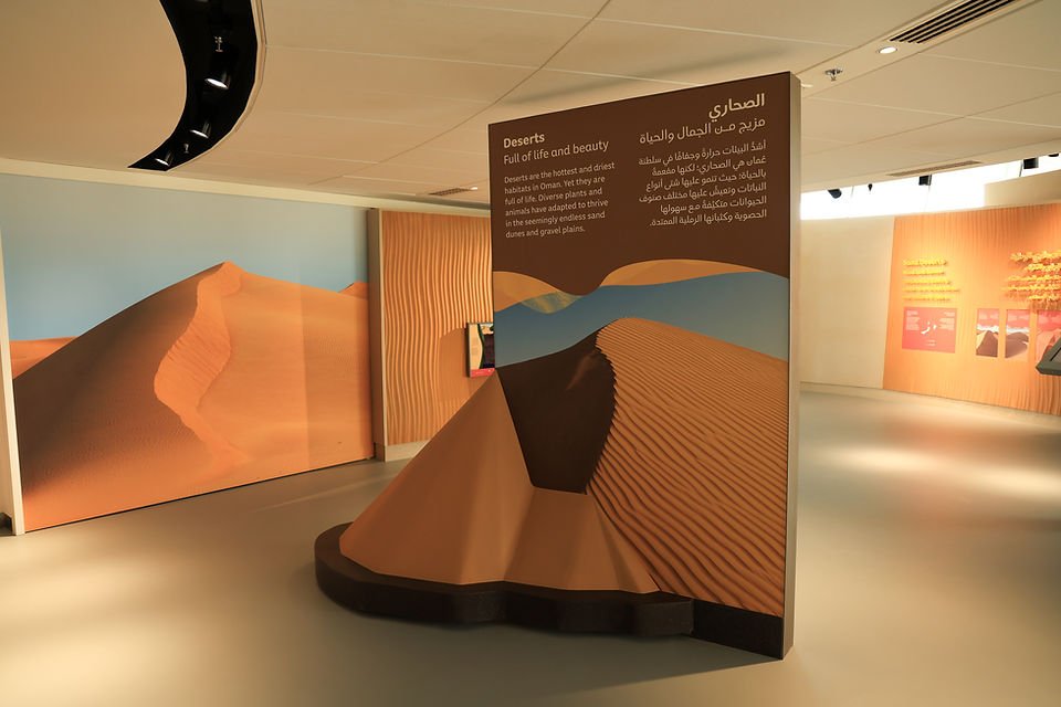 soon_in_oman's tweet photo. حديقة النباتات العمانية تستعد لإبهار العالم كأيقونة تصنف ضمن أكبر الحدائق النباتية عالمياً🍃🇴🇲💎 https://t.co/5joprJMob7