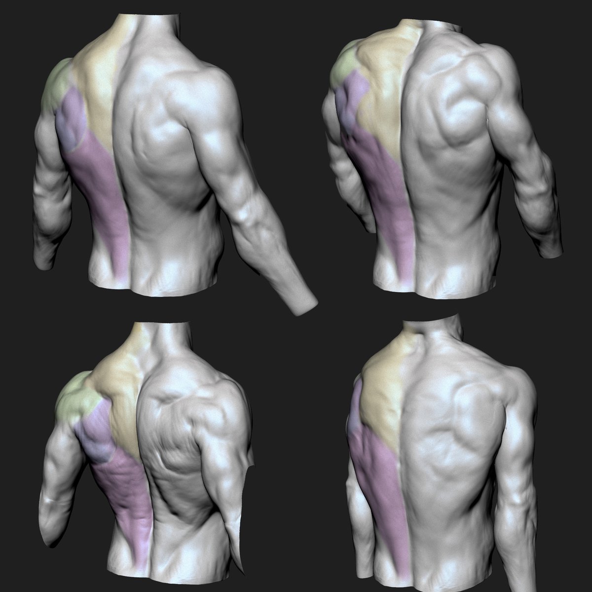 sherif_a_dawoud's tweet photo. torso anatomy in different poses. sculpted in zbrush https://t.co/ixh04A00Gs