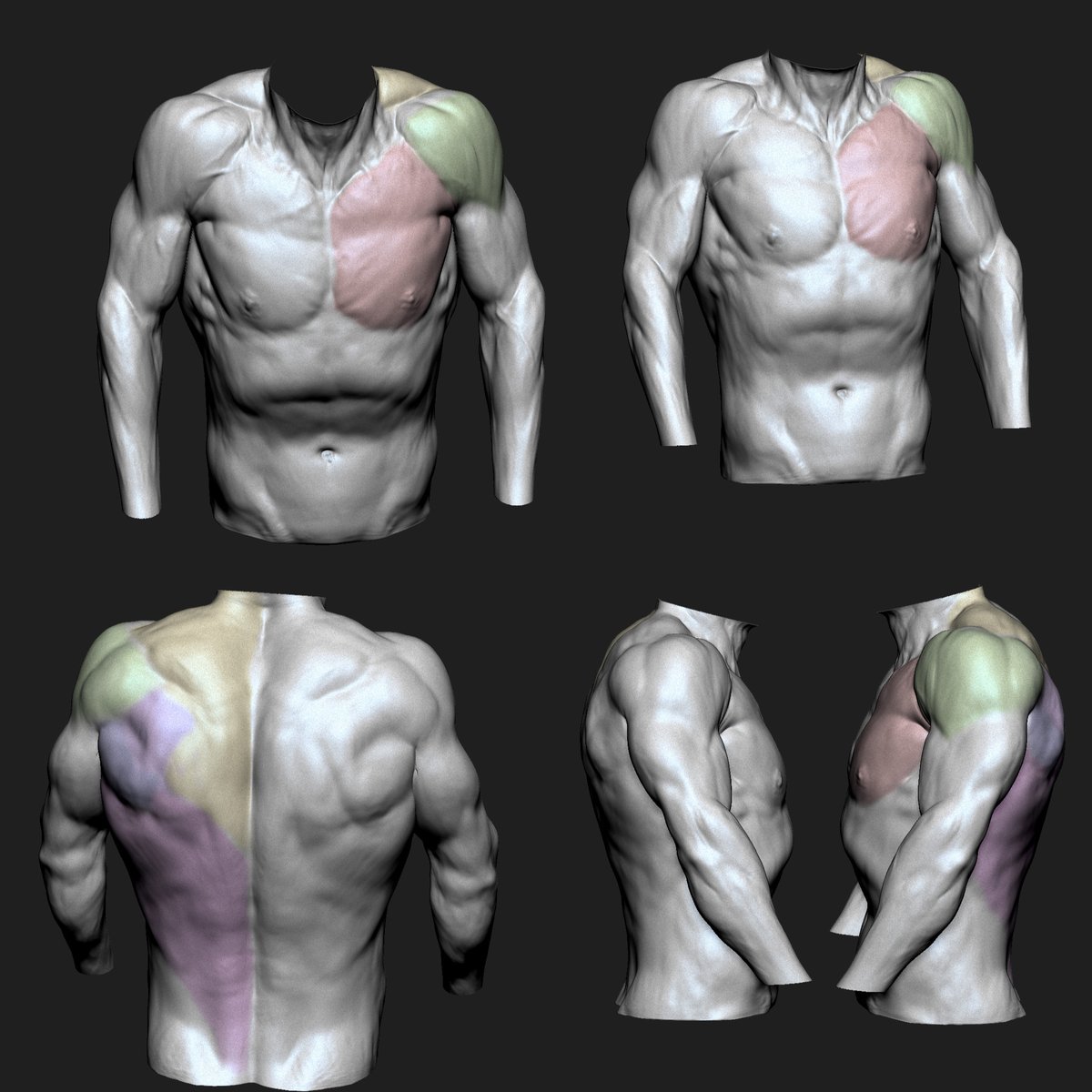 sherif_a_dawoud's tweet photo. torso anatomy in different poses. sculpted in zbrush https://t.co/ixh04A00Gs