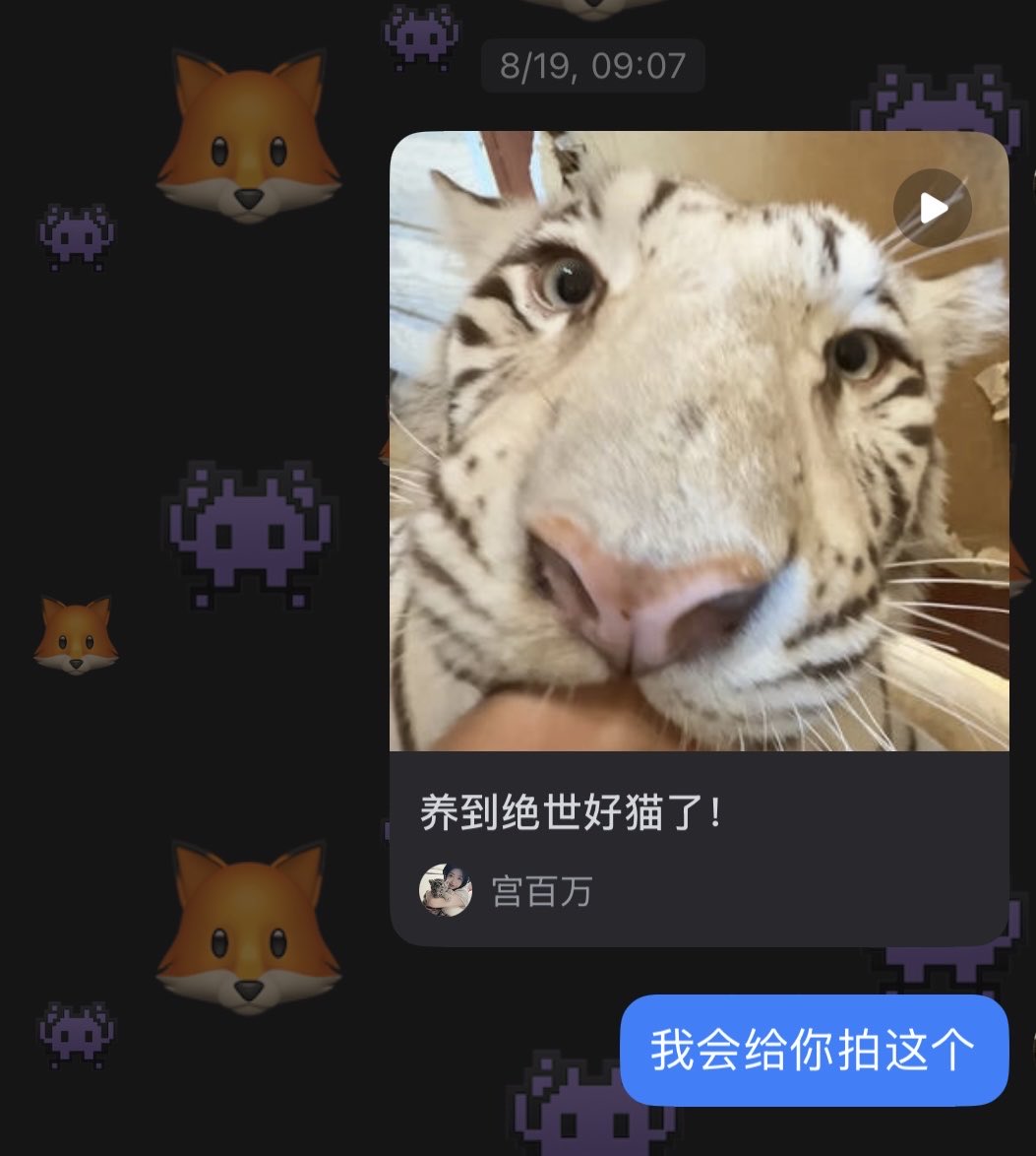 AC_bioss's tweet photo. 《我��底多想给她拍这个》 https://t.co/ORIgL1XzpF
