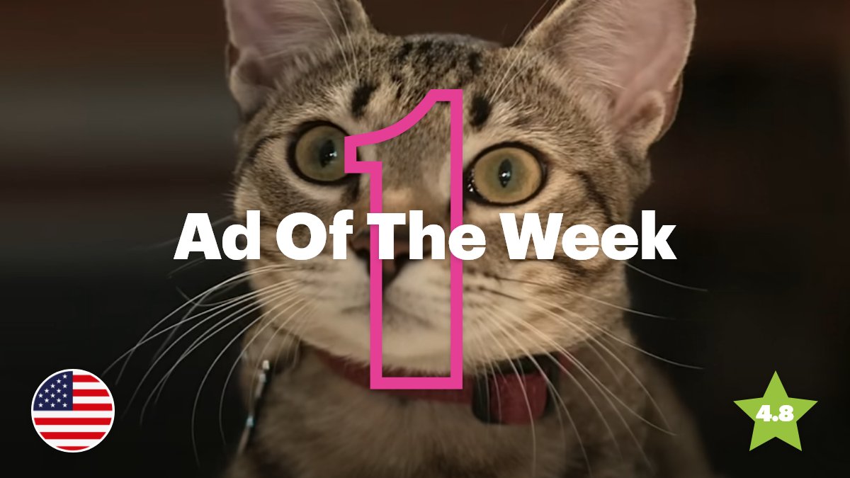System1Research's tweet photo. Our Ad Of The Week is from Rover, the pet sitting app whose "We Get Your Pet" campaign is back for a second year. Find out why Cookie the cat and her love of soap bubbles is one of the best mobile app ads we've ever tested in our Test Your Ad report: https://t.co/X533qUuDVp https://t.co/cyUNFCtooS