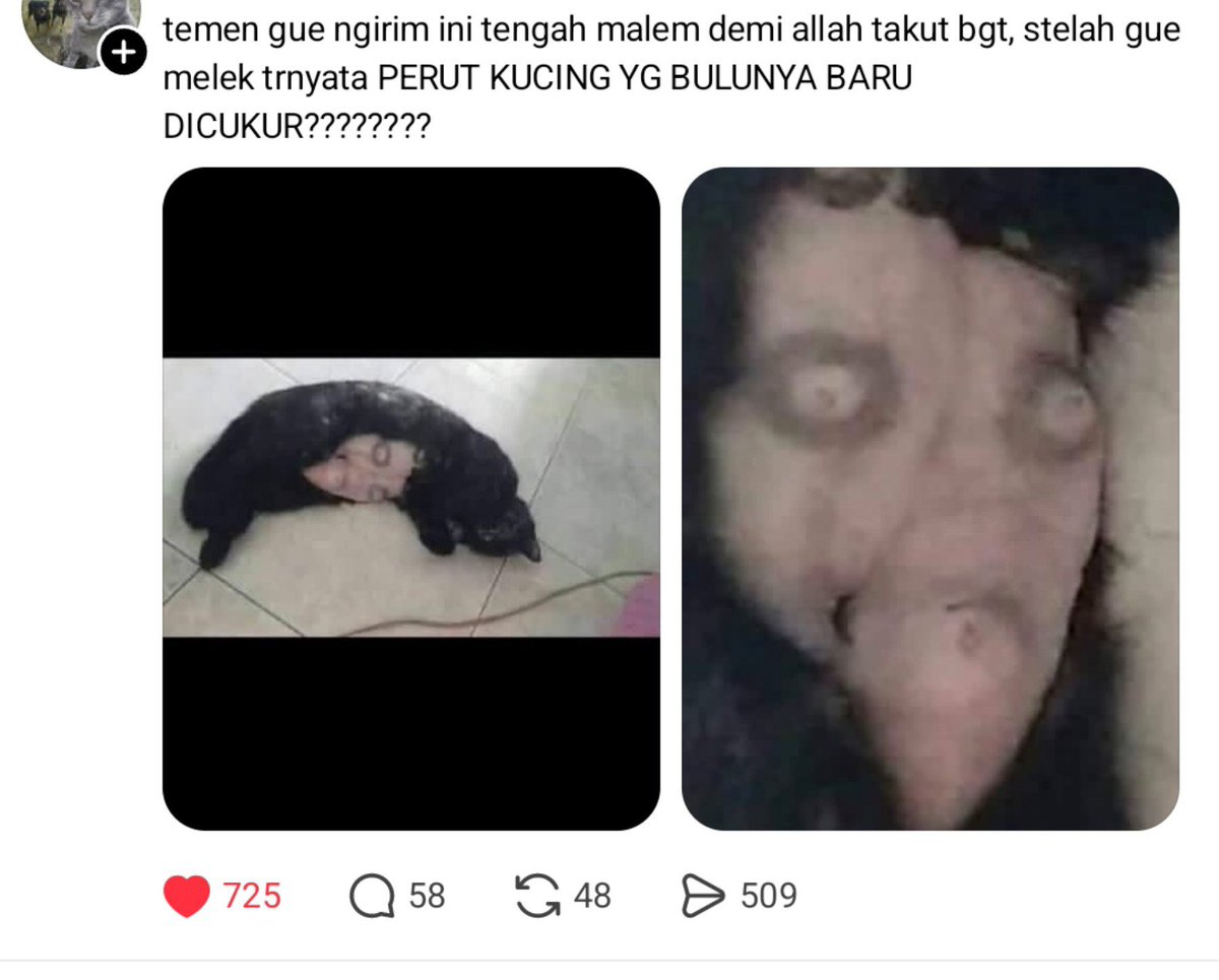 soraipena's tweet photo. gamau kaget sendirian https://t.co/XSG0Qgu9On