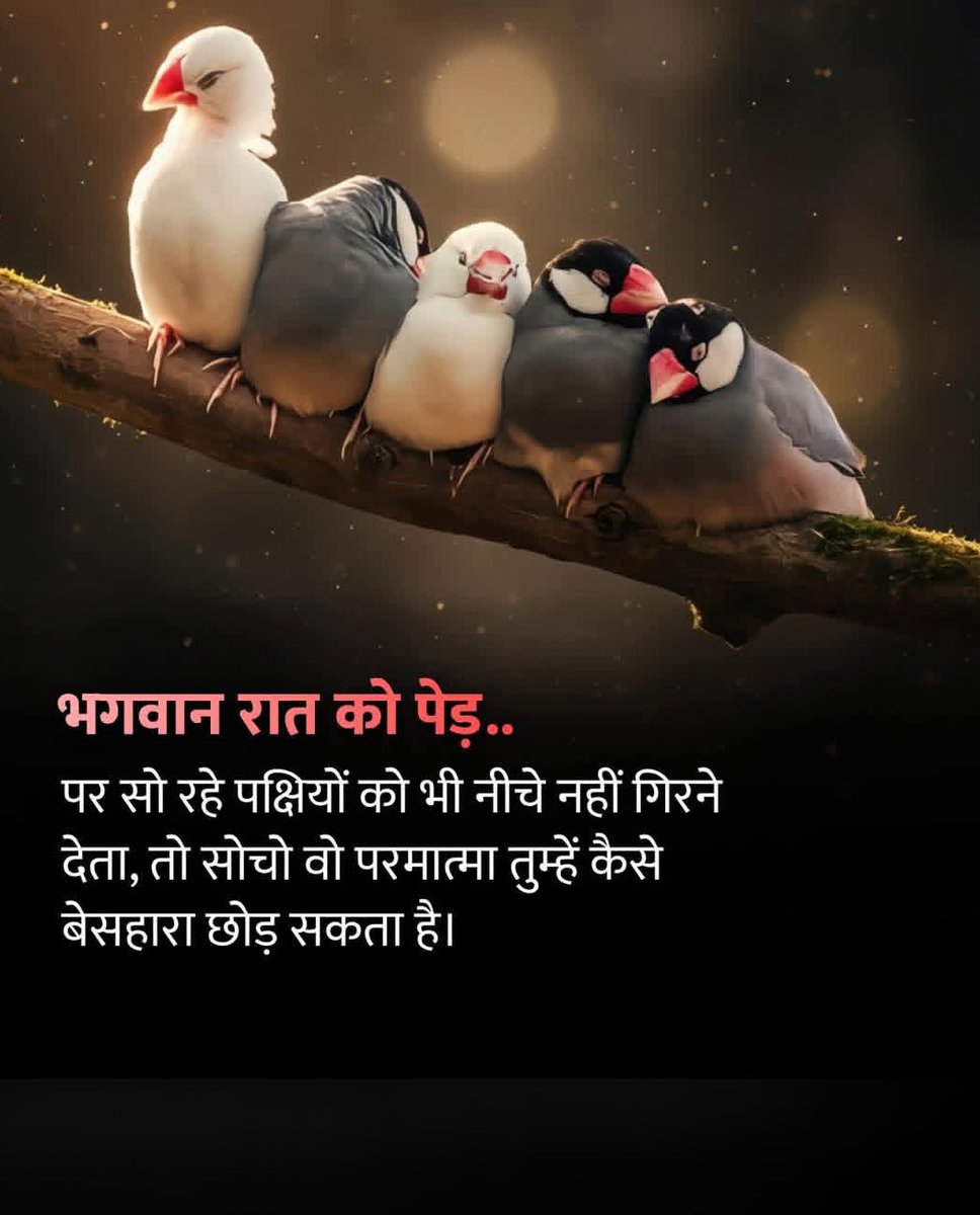 RahulRa49137254's tweet photo. God bless you 🙏 https://t.co/j9zhvWCccj