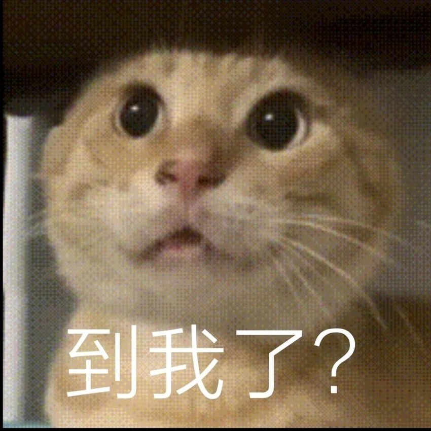 hym16cm's tweet photo. 3p的时候，当另一个姐妹力竭撅着屁股不动弹的时候，男生看向我be like https://t.co/Rzh8a7wqcb