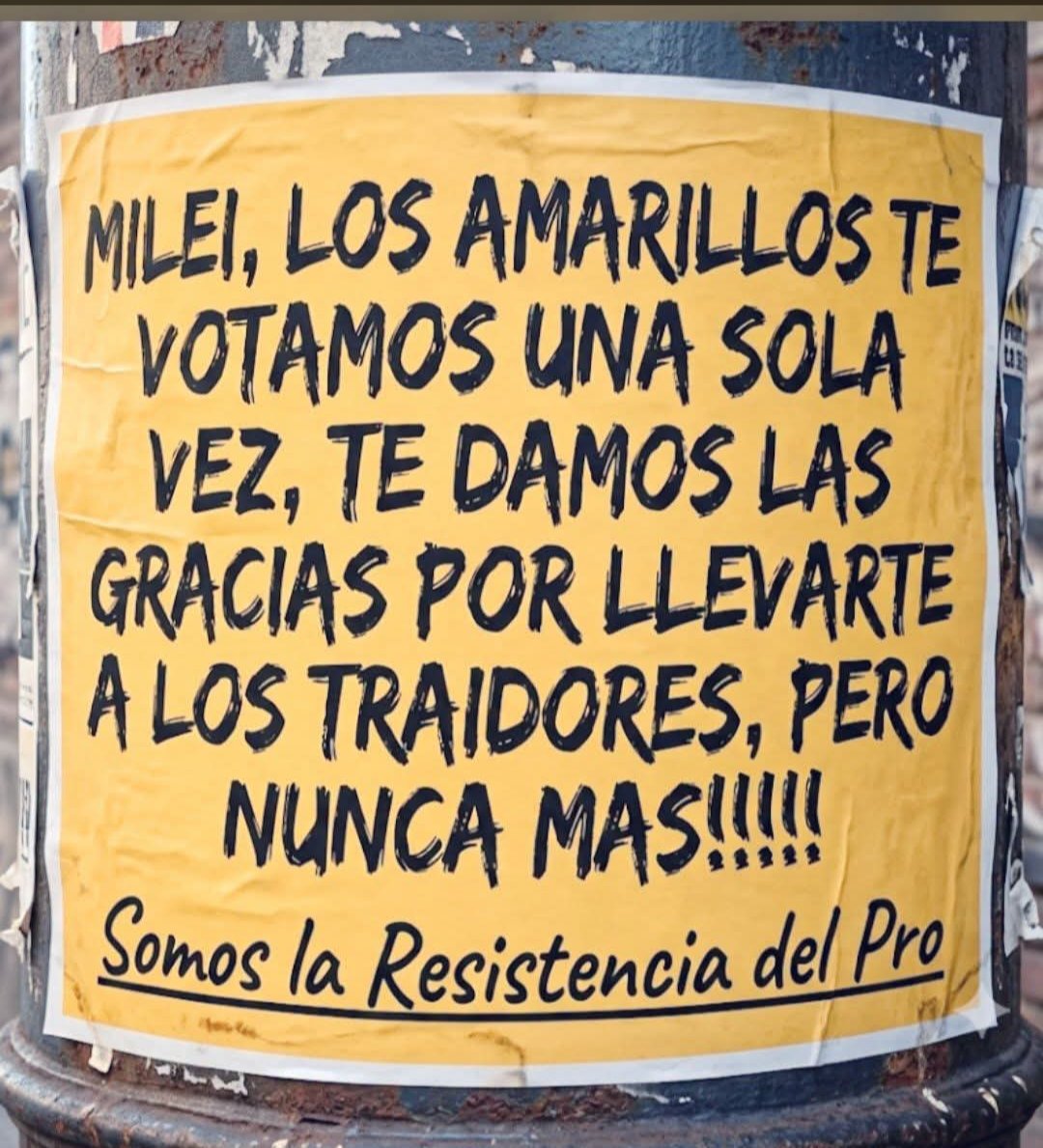 MariaTodaro13's tweet photo. #MacristasUnidos
#HLacunza2027
         SIN LLA
#PROsoloPRO
@MacristasUnidos
💛🇦🇷💪 https://t.co/aLZw9VEnEM