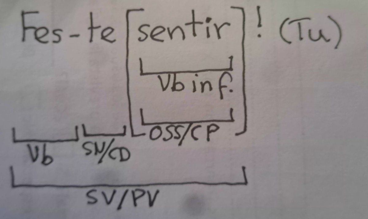 EscrivaRiera's tweet photo. https://t.co/98yToqC7hV