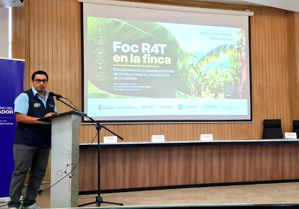 AgrocalidadZ7's tweet photo. 🛡️| #JuntosContraFocR4T
Participamos en el 1er. Simposio Binacional "Musáceas sin fronteras" con el tema: Foc R4T en la finca, concientización y buenas prácticas de bioseguridad en plantaciones, y asistimos a apertura de Unidad del @INIAPECUADOR. 
#ProtegemosElAgroEcuatoriano 💪🏽 https://t.co/R8nMkHxqny