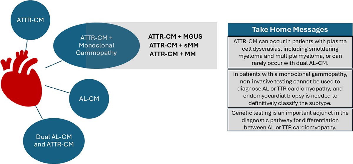 JACCJournals's tweet photo. Case series shows 🔑 pitfall in cardiac #amyloidosis: plasma cell dyscrasia doesn't always mean AL-CM. Tissue confirmation is essential for accurate subtyping. Genetic testing can help assess ATTR-CM when Dx is uncertain/biopsy is deferred https://t.co/rI4UutSee9 #JACCCaseReports https://t.co/Is07ReJFpP
