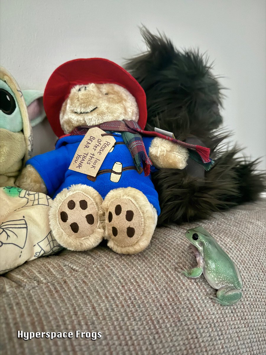 HyperspaceFrogs's tweet photo. Hollus was feeling adventurous so he climbed out of the tank and saw all kinds of neat things! He particularly liked that Paddington fellow he met. https://t.co/Ea5LLtbjO7