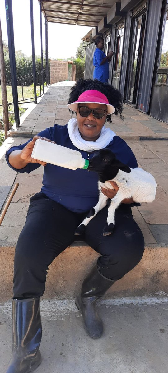BishopWanjiru's tweet photo. Productivity begins with responsibility, care and the willingness to nurture what we have. 
That is the kind of leadership Nairobi needs; nurturing businesses, encouraging innovation, creating opportunities and delivering essential services. Growth requires care and consistency. https://t.co/RDYHLpEOnr