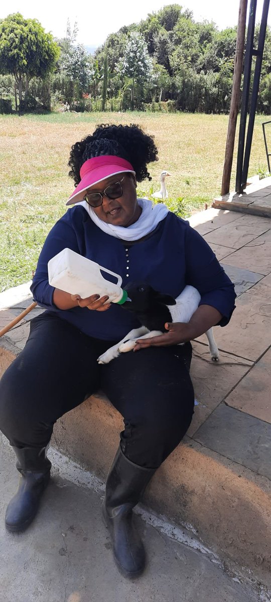 BishopWanjiru's tweet photo. Productivity begins with responsibility, care and the willingness to nurture what we have. 
That is the kind of leadership Nairobi needs; nurturing businesses, encouraging innovation, creating opportunities and delivering essential services. Growth requires care and consistency. https://t.co/RDYHLpEOnr