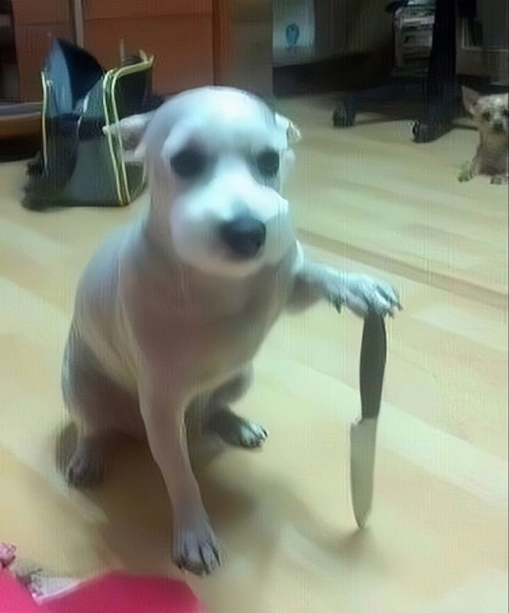 S22k_1005's tweet photo. Tengo una leve sospecha de que la jefa de personal me odia pero ya va a venir a pedir un favor la desgraciada https://t.co/iAierEX1JH