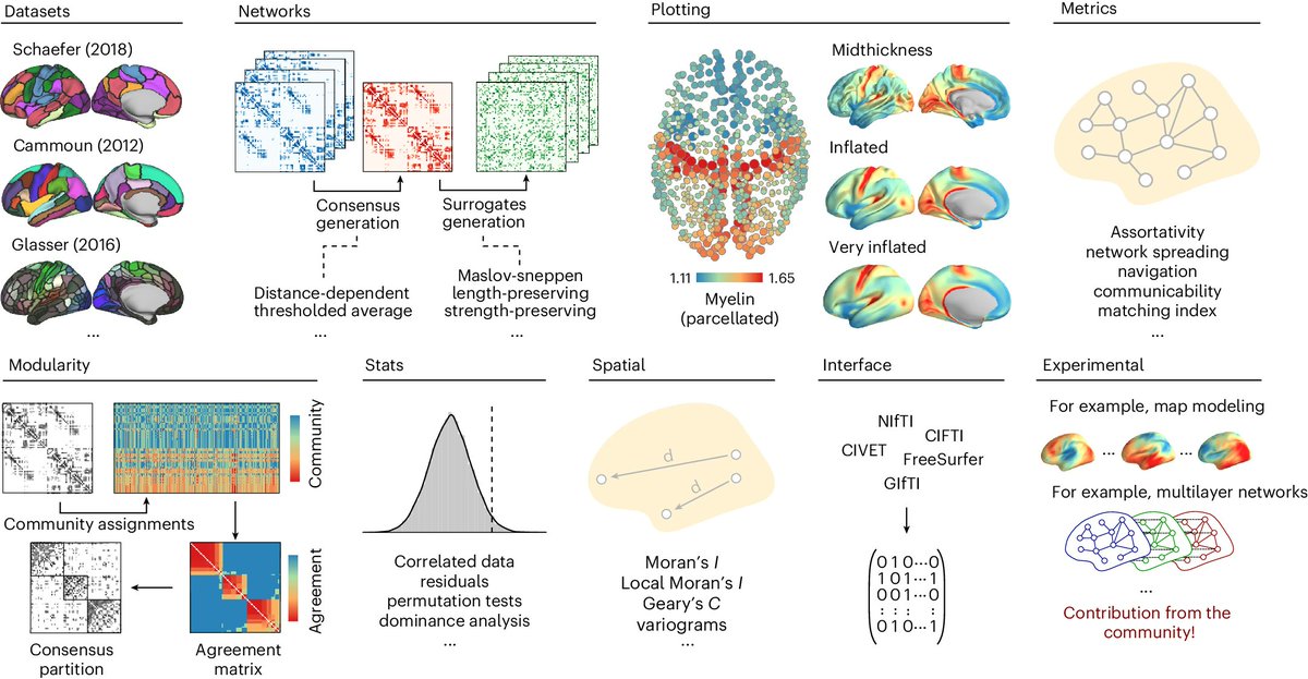misicbata's tweet photo. netneurotools: a trainee-oriented approach to network neuroscience | https://t.co/BMa7lRlJVO

Our lab’s internal toolkit for accomplishing everyday tasks in brain imaging @NatureProtocols ⤵️ https://t.co/ILd6GpGw5y
