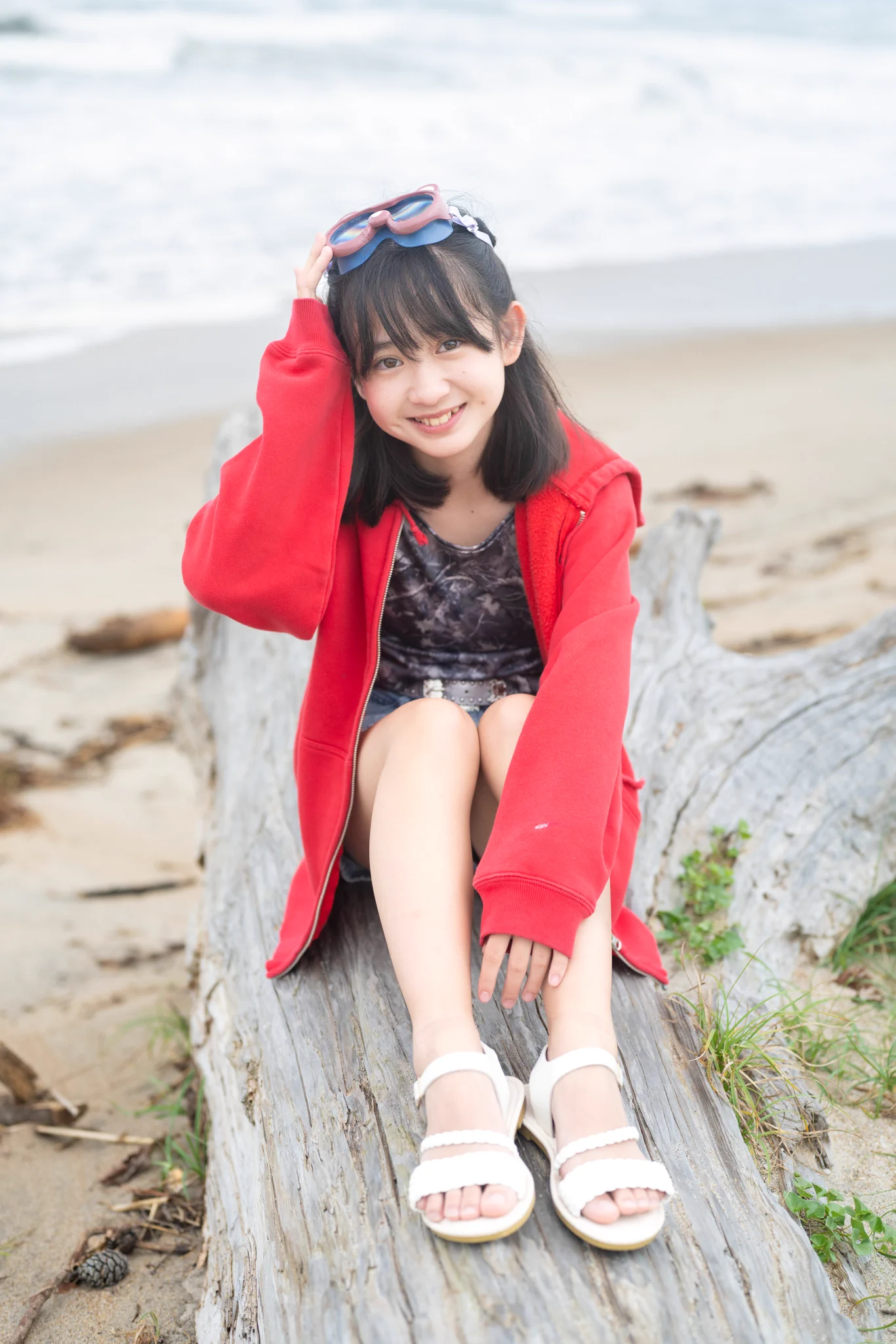 435　とらちゃん とらちゃん on X: 