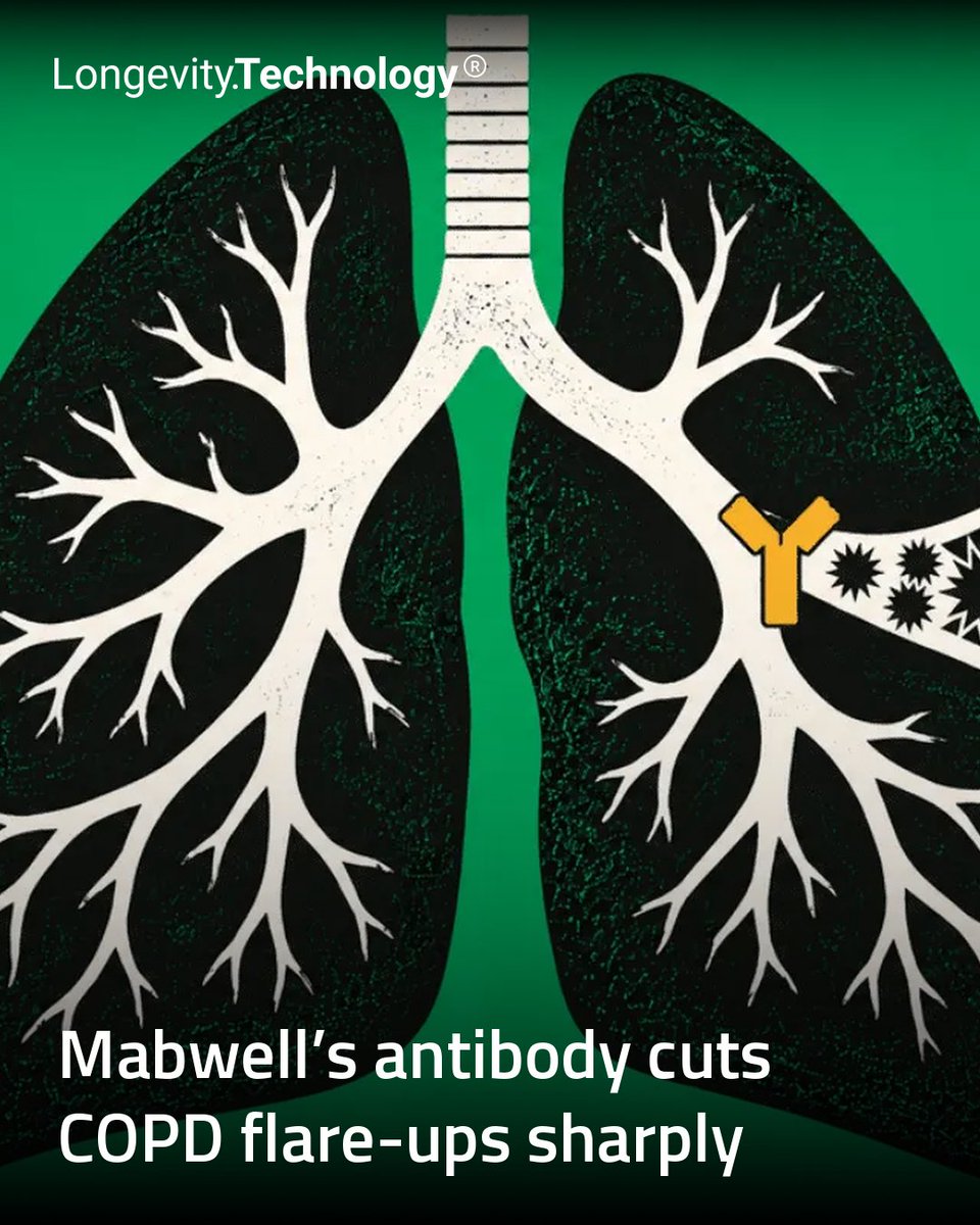 LongevityTech's tweet photo. Phase Ib/IIa data show an experimental antibody cutting severe COPD flare-ups by up to 100% at the highest dose, a signal for aging lungs.
https://t.co/NiK0HKuYN9
#longevity #geroscience #COPD #antibody #aginglungs https://t.co/ZtfV4IbEFR