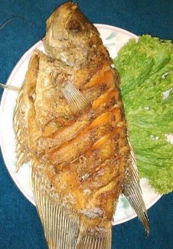 hopefulhob's tweet photo. kalian lebih suka ikan bakar atau ikan goreng? https://t.co/wNrA1h2oeJ