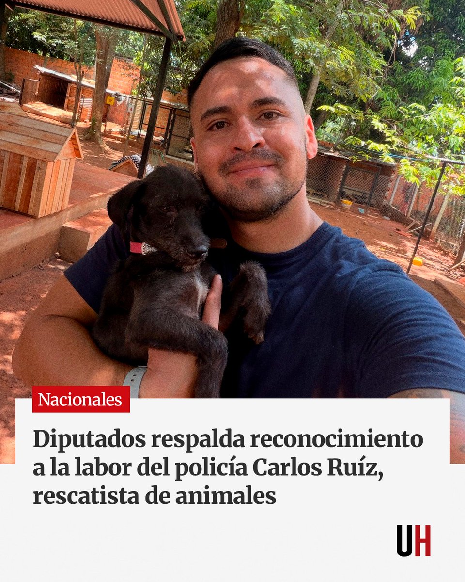 UltimaHoracom's tweet photo. La Cámara de Diputados aprobó este miércoles un proyecto de declaración que reconoce y destaca la labor del oficial segundo Carlos Miguel Ruíz, policía y rescatista de animales, por su compromiso con el rescate, protección y asistencia de animales en situación de abandono, peligro, maltrato o vulnerabilidad.

https://t.co/0Ti0CLk9ym