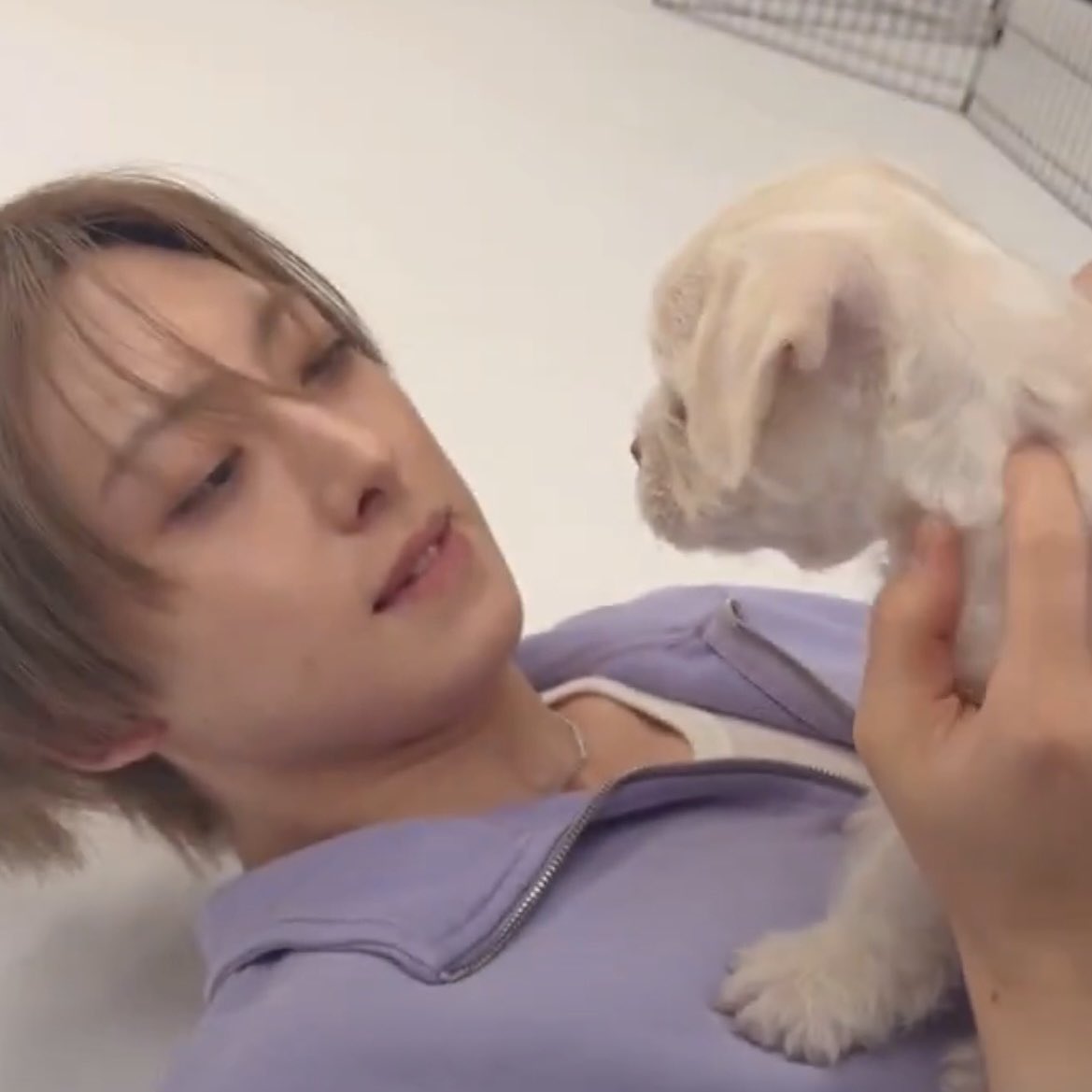 fumaeevee's tweet photo. 急所（🫀も🧠も）揺れるスク���ョタイム🐶

FUMAくんの笑った時にちょっと見える前歯がチャーミングすぎる🥺 https://t.co/DGiJY4fjbu