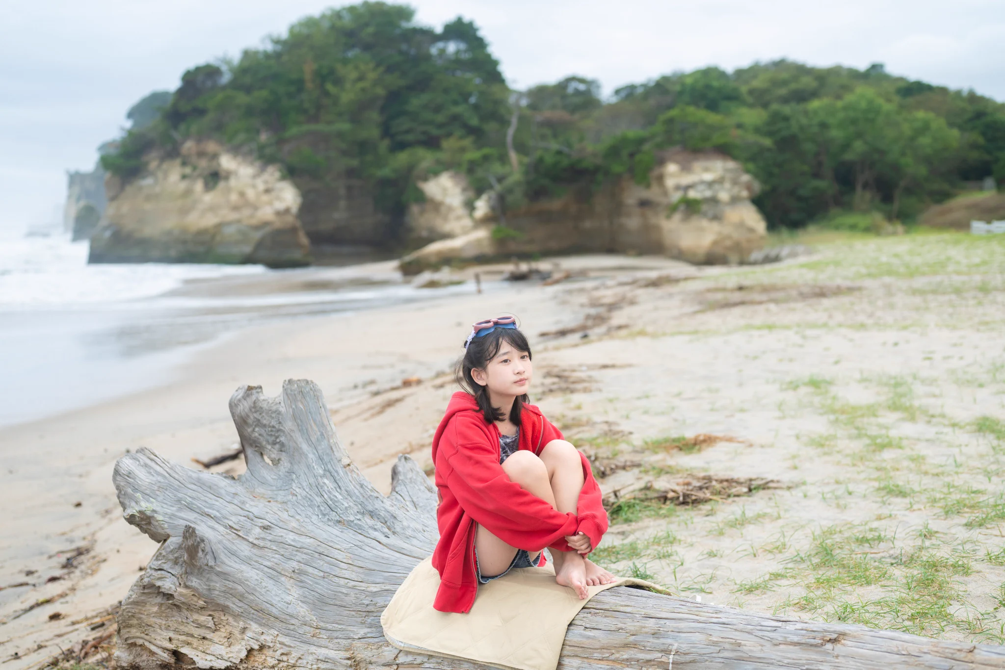 とらちゃん on X: 