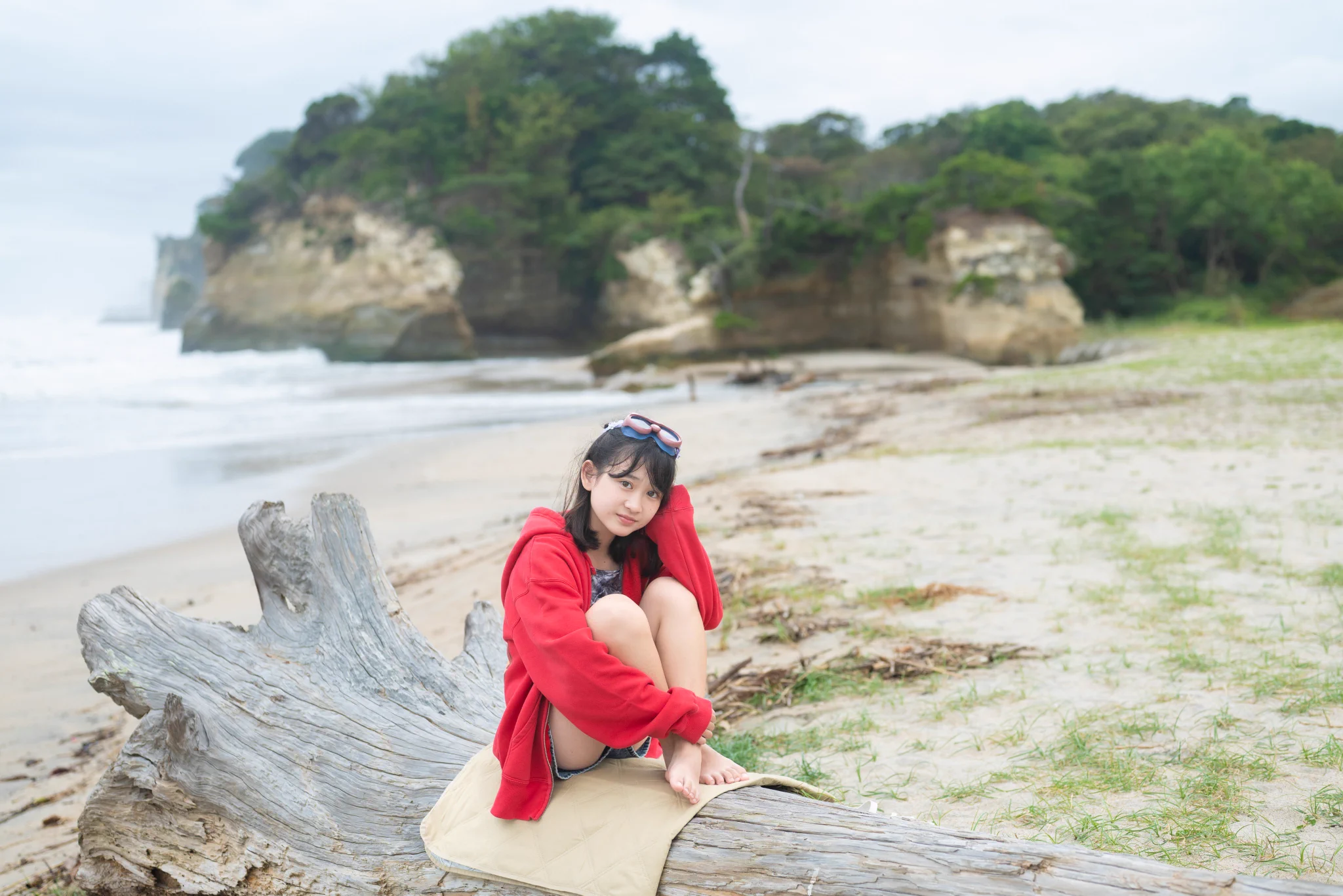 とらちゃん on X: 