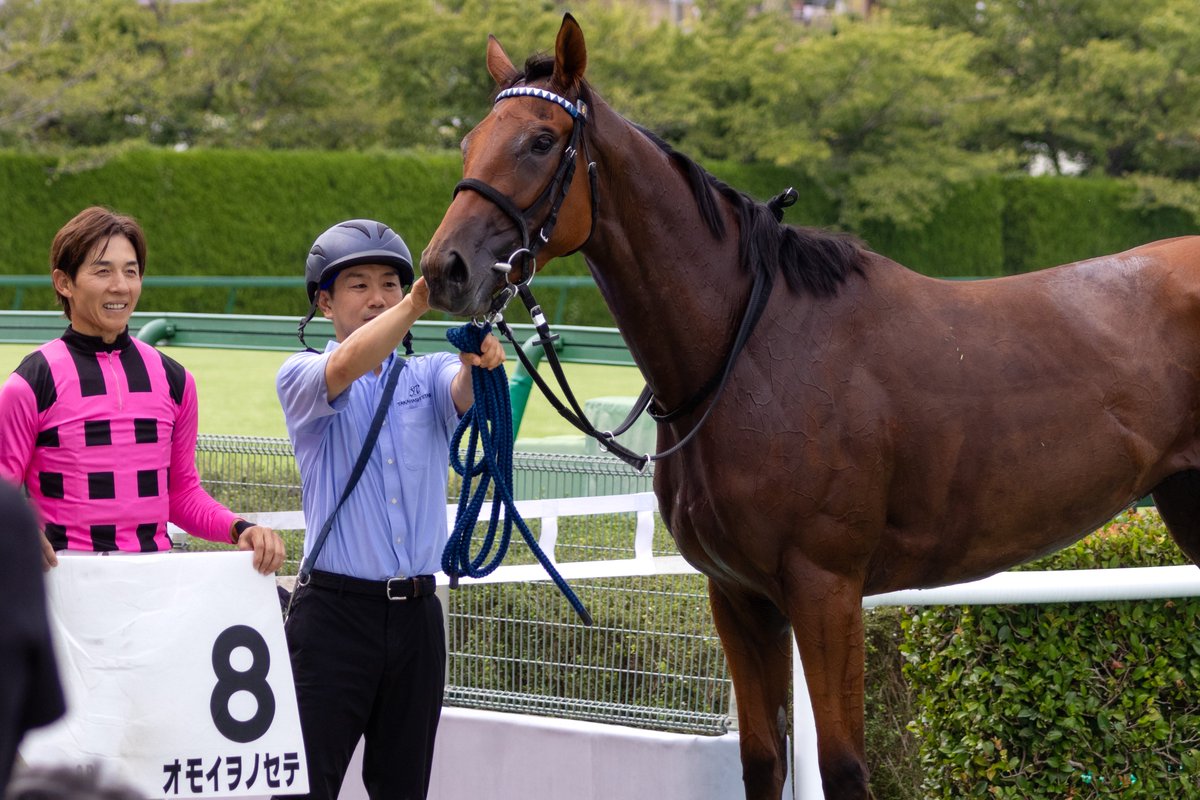 __tpuma's tweet photo. 2026.09.05
8R 3歳以上1勝クラス
📍阪神競馬場

オモイヲノセテ
幸英明騎手

7番人気お見事な勝利でした👏 https://t.co/2cGzZzyBWW