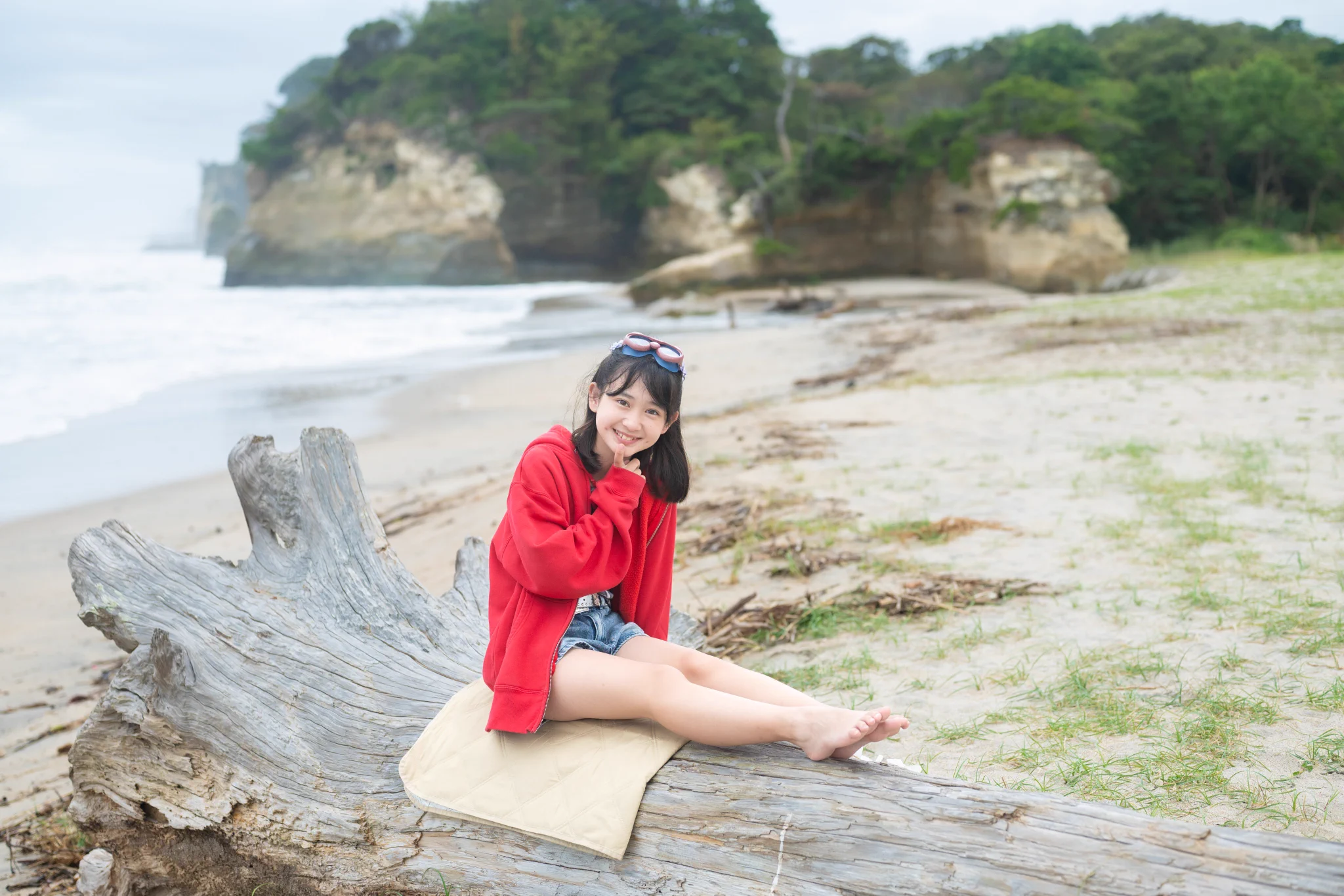 とらちゃん様 とらちゃん on X: 