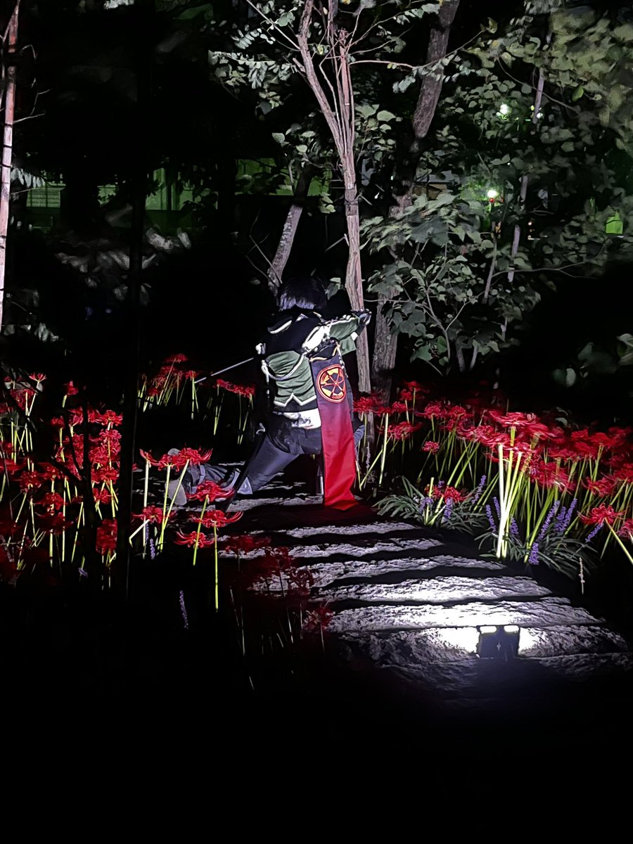 Yunadudx's tweet photo. 彼岸花撮影行ってきました
一緒に行ってくださったウメさんありがとうございました🎶🎶
2枚目のお写真······▸ウメさん(@ume13_0111 ) https://t.co/9oJ7vfMlTo