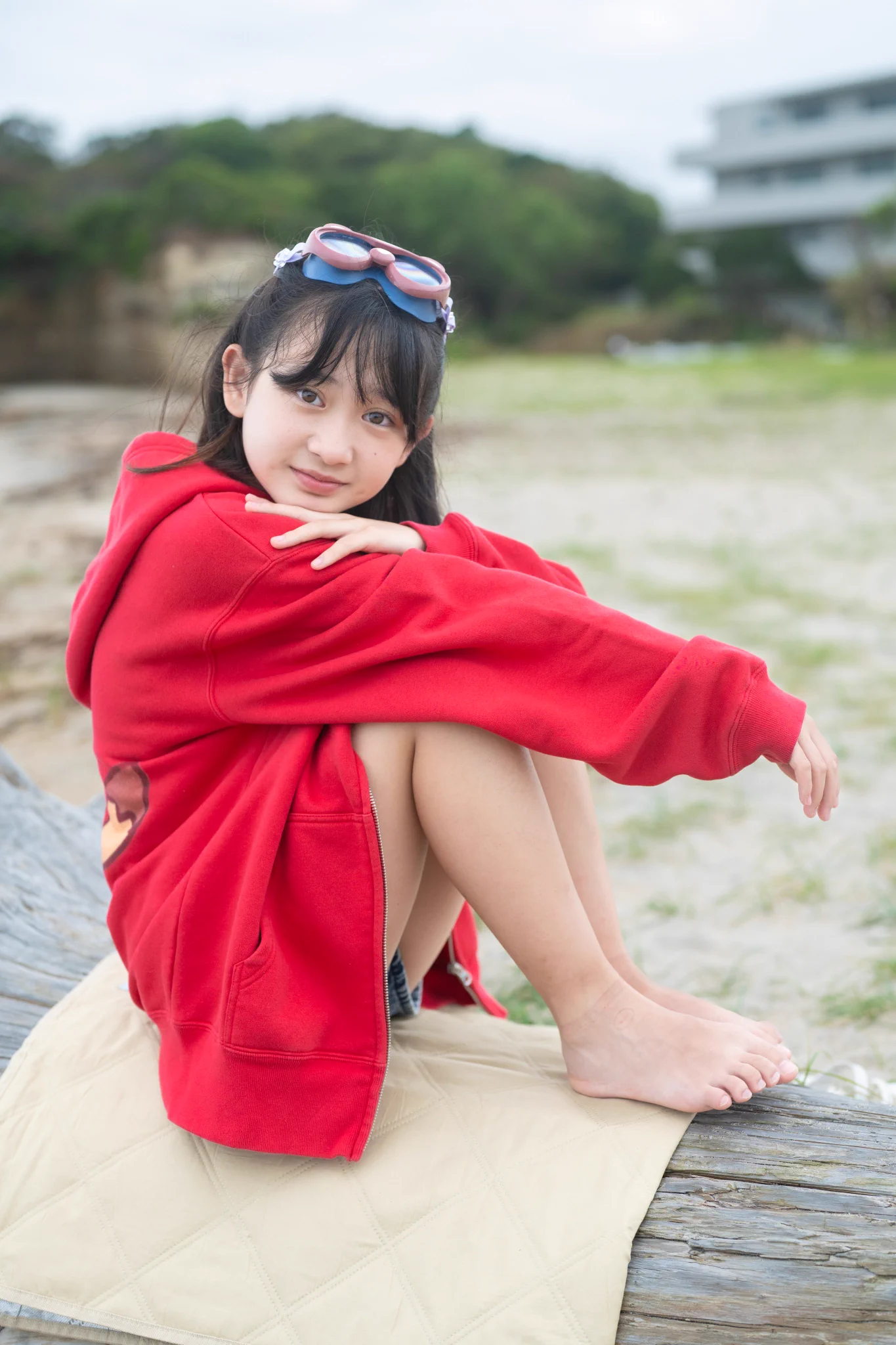 とらちゃん on X: 