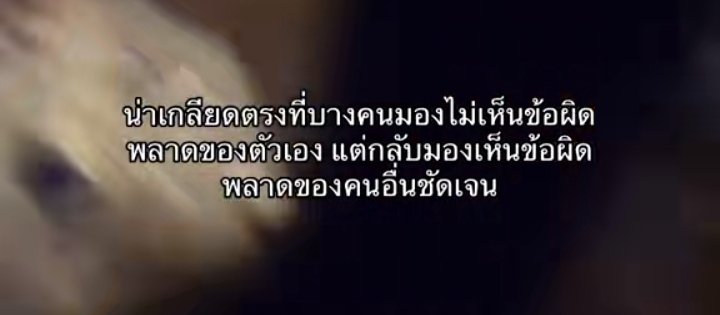 divaiconfuq's tweet photo. https://t.co/wzLZdUWxYf