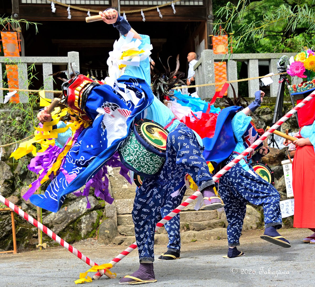 ShibazakuraC's tweet photo. 埼玉県横瀬町の芦ヶ久保の獅子舞（県指定無形民俗文化財）が8月16日の神社祭礼に全8庭が全て白鬚神社境内で8年ぶりに奉納。また雨除けのブルーシートが張られることなく奉納されたのは実に2009年以来17年ぶり。
十文字：「三頭の獅子がV字に立てられた竹を飛び越えたりしながら楽しそうに舞う。」 https://t.co/cd2N2tJvBc