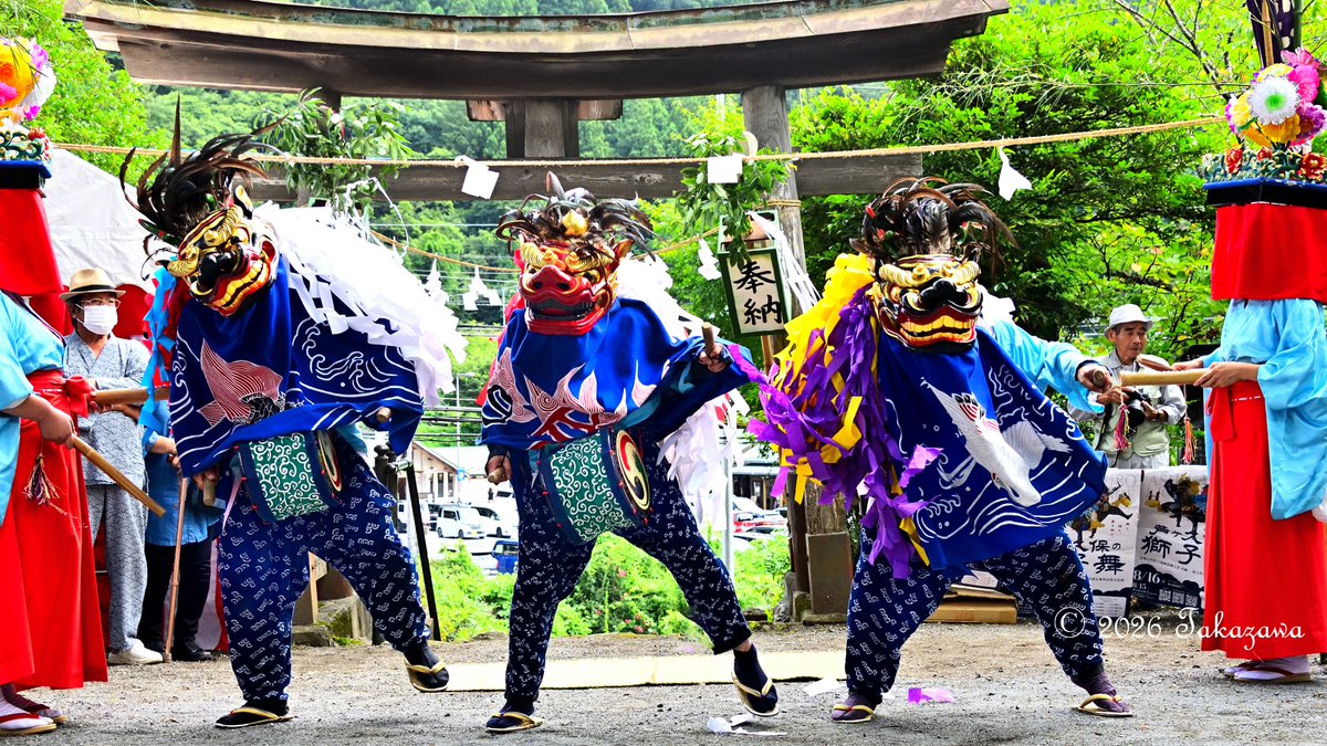 ShibazakuraC's tweet photo. 埼玉県横瀬町の芦ヶ久保の獅子舞（県指定無形民俗文化財）が8月16日の神社祭礼に全8庭が全て白鬚神社境内で8年ぶりに奉納。また雨除けのブルーシートが張られることなく奉納されたのは実に2009年以来17年ぶり。
十文字：「三頭の獅子がV字に立てられた竹を飛び越えたりしながら楽しそうに舞う。」 https://t.co/cd2N2tJvBc