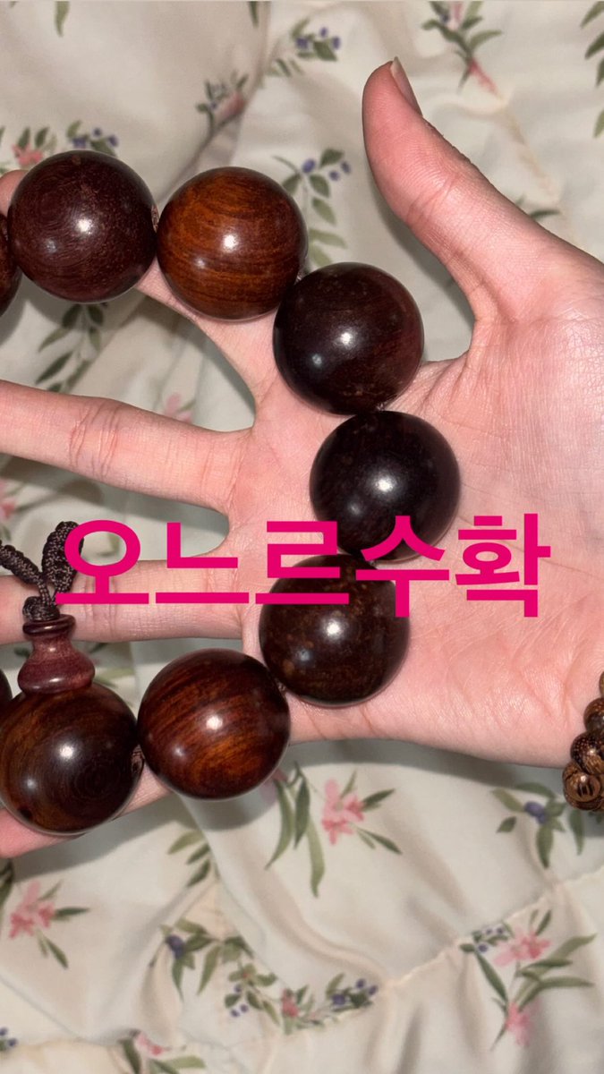 dear_mystein's tweet photo. 오늘절가서팔찌도사고산책도하고 https://t.co/g8bircojl5