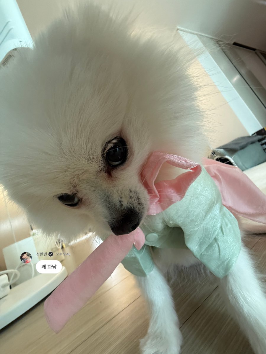 forbeen0613's tweet photo. 온도차 너무 다른 거 아니냐구🤭 https://t.co/4UYzeGhvNy